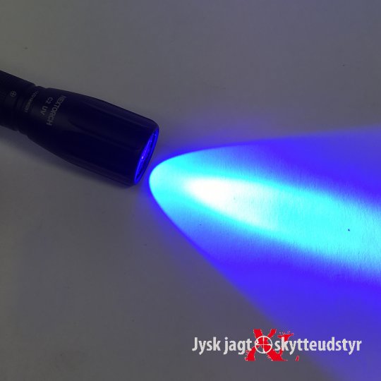 NexTorch C2 UV-lygte (Ravlygte)