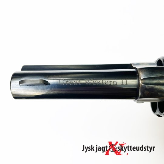 Pietta M 1873 SA - Cal. 45 Long Colt 